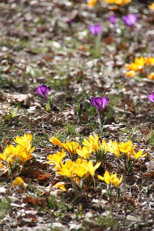 Willa Il Sole Le Puy-Sainte-Réparade Zewnętrze zdjęcie
